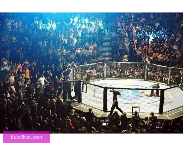 UFC狼人对决冰人巅峰之战全面解析与传奇回顾战术博弈与时代意义
